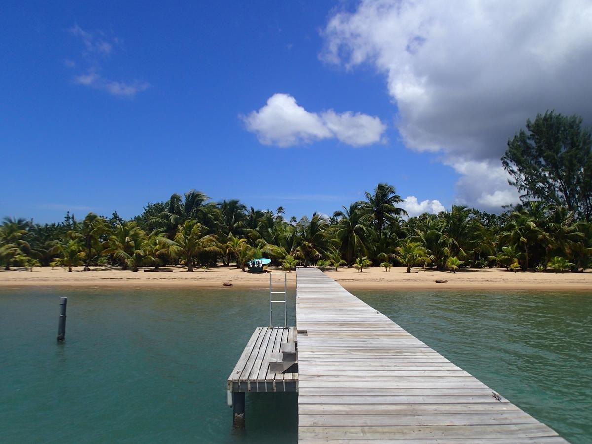 فندق Monkey River Townفي  Sabal Beach المظهر الخارجي الصورة