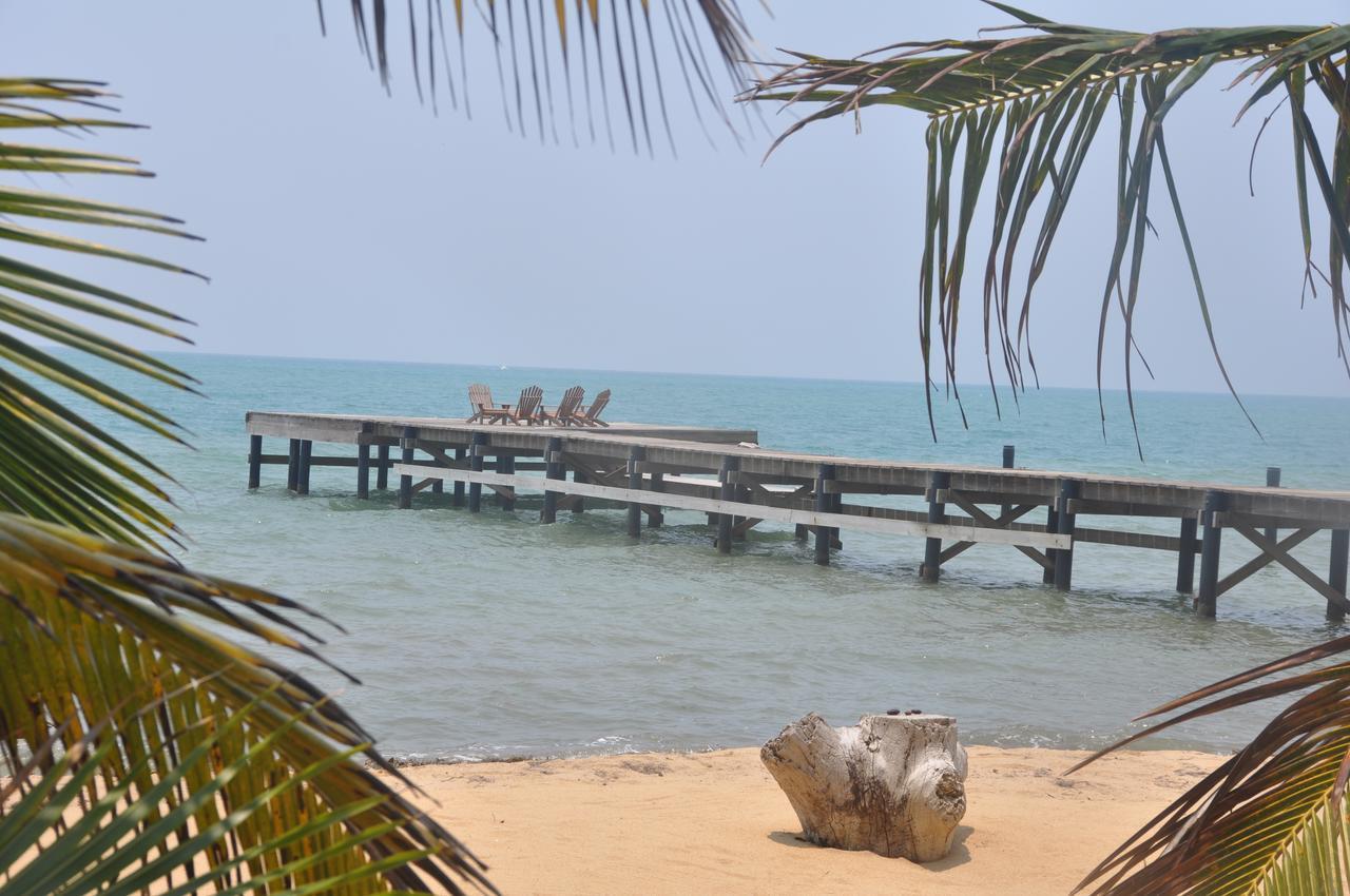 فندق Monkey River Townفي  Sabal Beach المظهر الخارجي الصورة