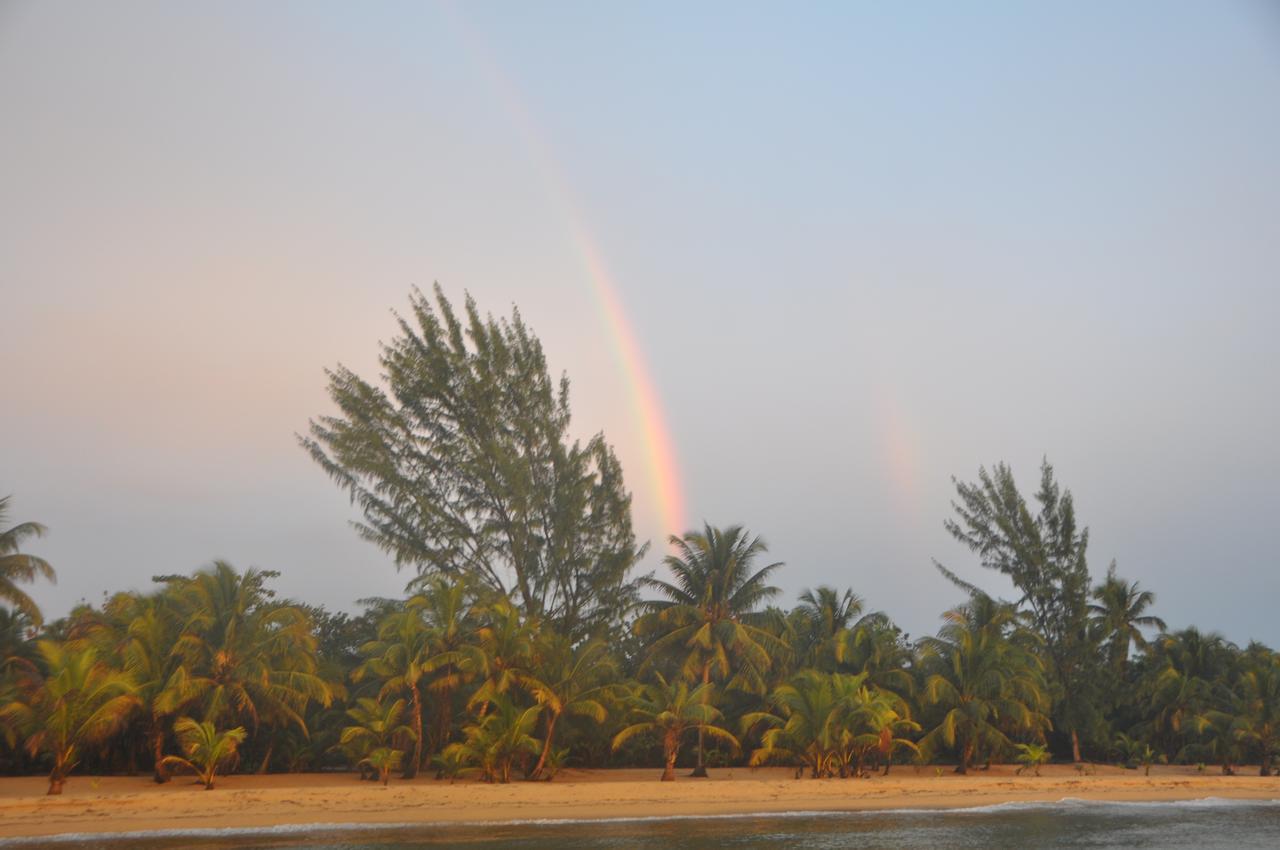 فندق Monkey River Townفي  Sabal Beach المظهر الخارجي الصورة