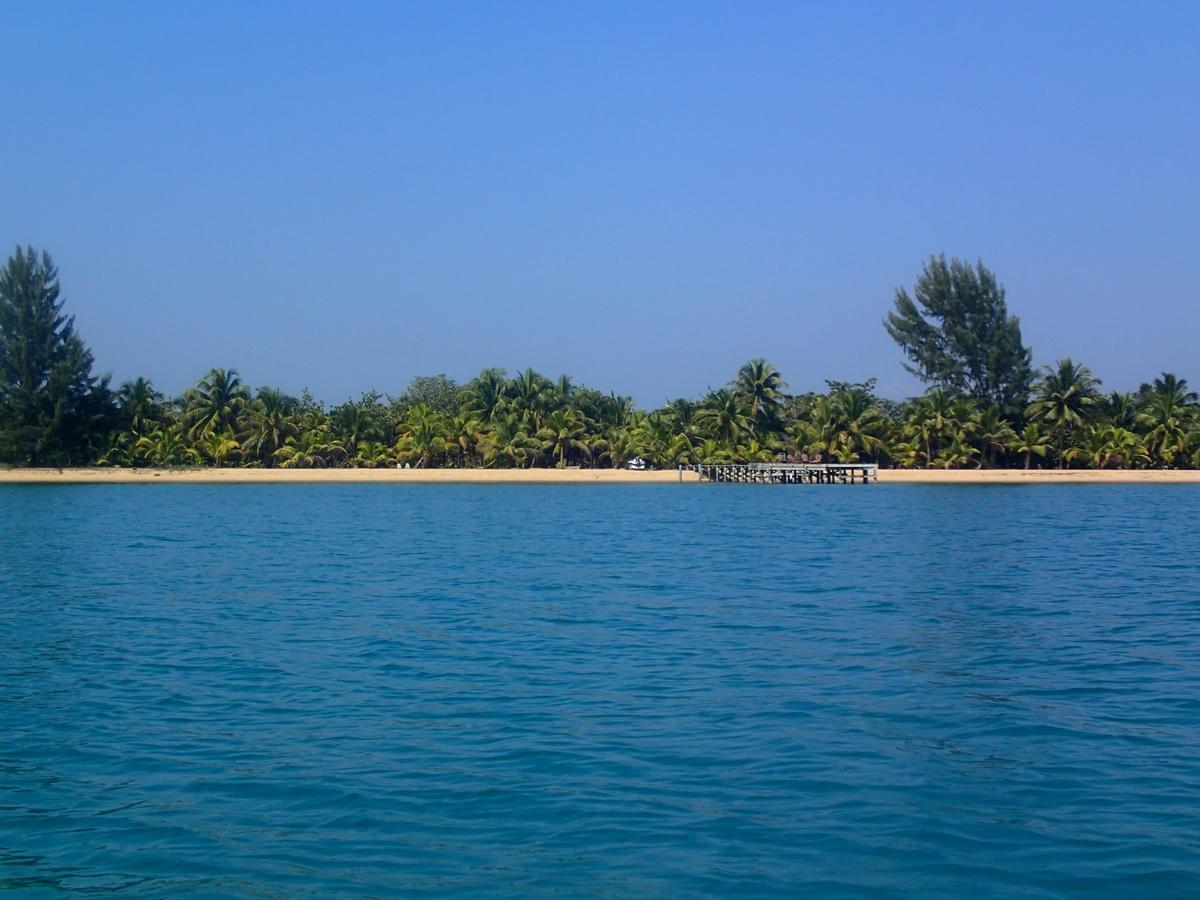 فندق Monkey River Townفي  Sabal Beach المظهر الخارجي الصورة